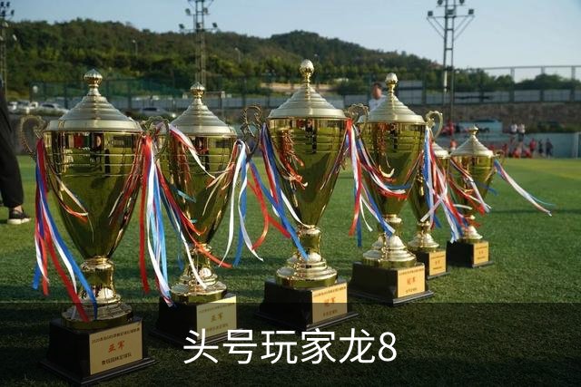 头号玩家龙8公司简介图片